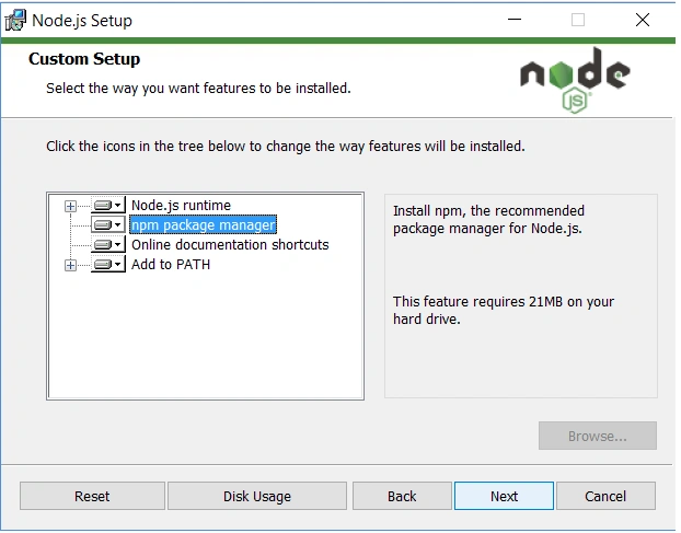 Node.js setup screen showing custom installation