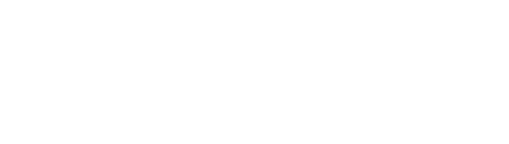 WRTeam Logo